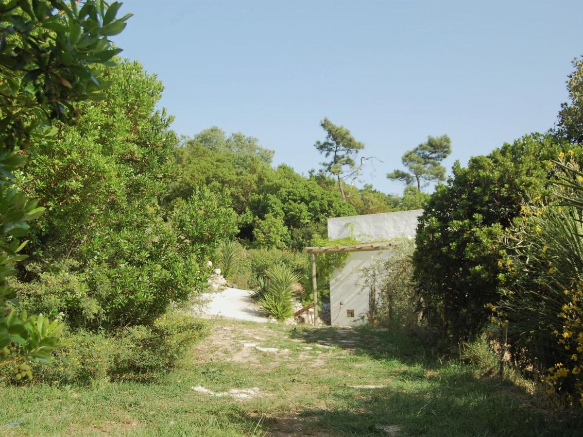 A Perfect Villa With Pool Terrace And Garden อัลโกบาซา ภายนอก รูปภาพ